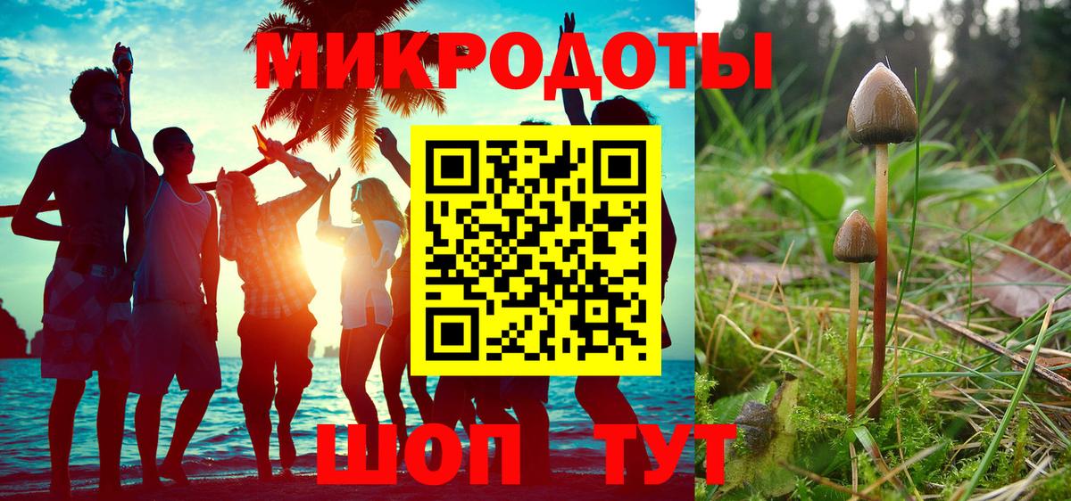 Псилоцибиновые грибы мухоморы Павлово