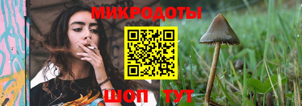 Павлово  Псилоцибиновые грибы GOLDEN TEACHER  Вход с VPN 